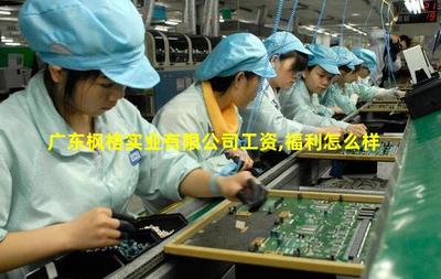 廣東楓格實(shí)業(yè) 專注針紡織品及原料銷(xiāo)售的專業(yè)供應(yīng)商