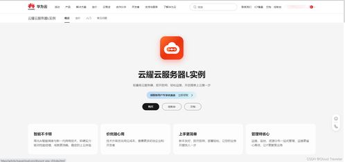 華為云云耀云服務器L實例深度評測 了解配置與管理，體驗‘秒快’云魅力
